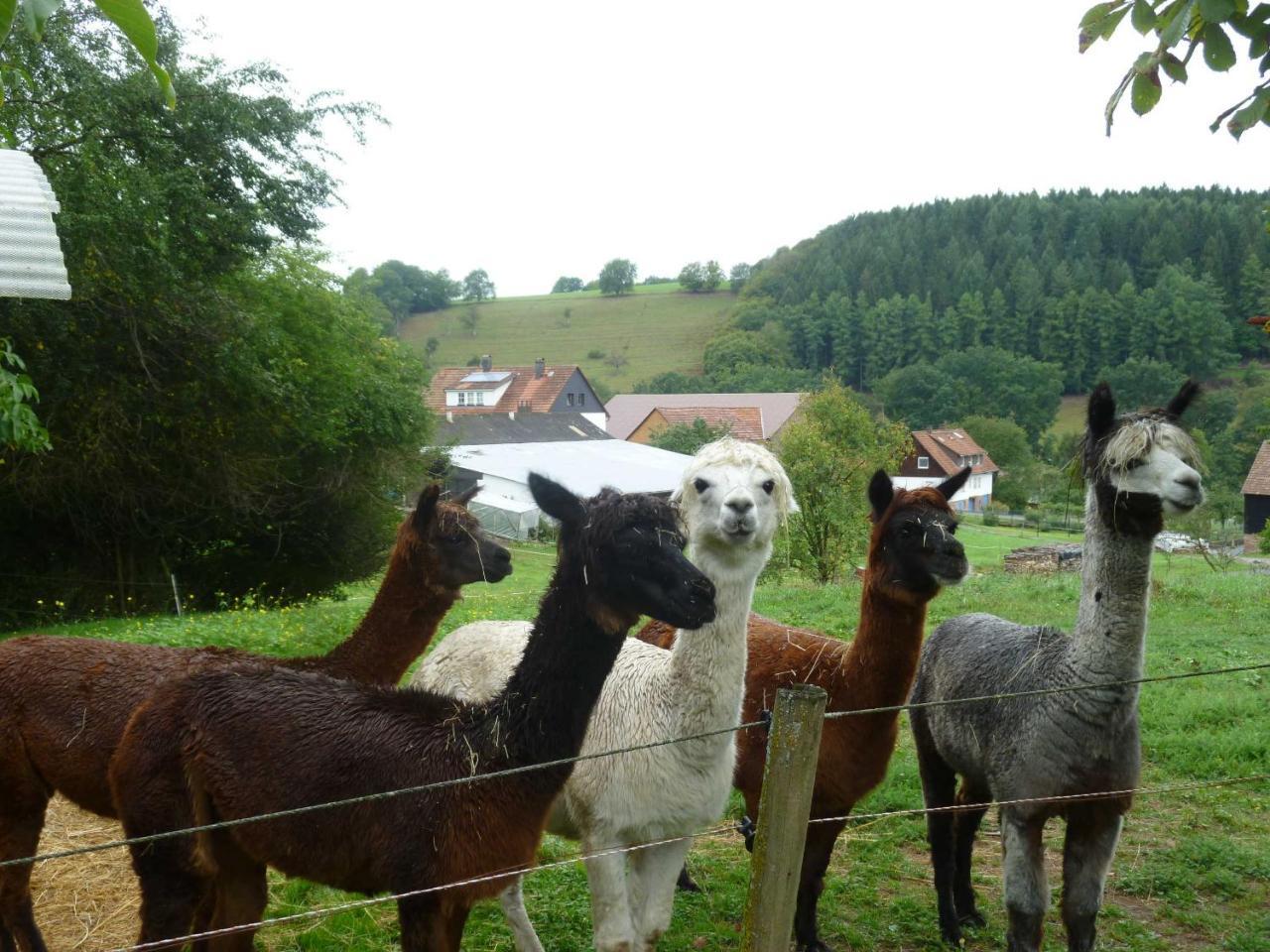 Ferienwohnungen Hof Heiderich Oberzent Exterior foto